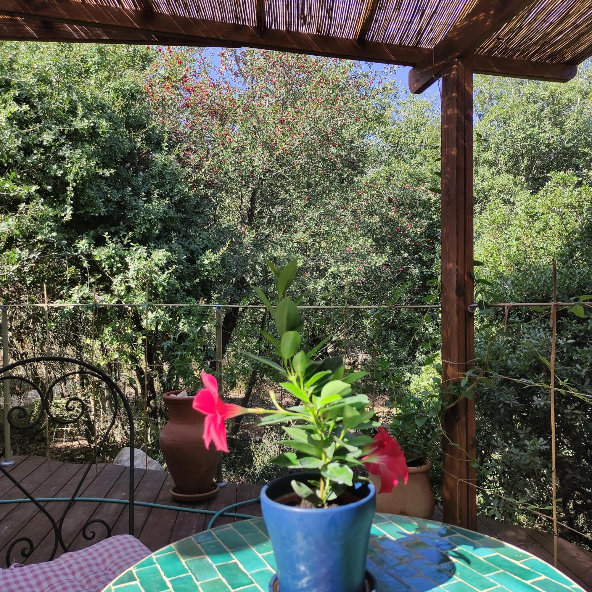 Love Frequency - יורט קסום במתת Exterior photo